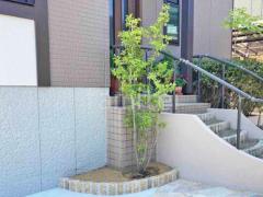 シンボルツリー ソヨゴ 常緑樹 植栽 ピンコロ石花壇